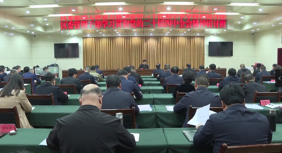 区委管理干部学习贯彻党的二十届四中全会精神研...