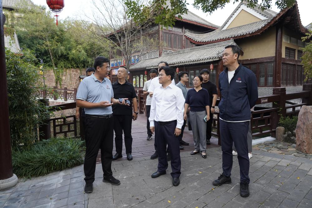 陈宏锋督导检查农村人居环境和主要景点工作